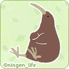 kiwi_life