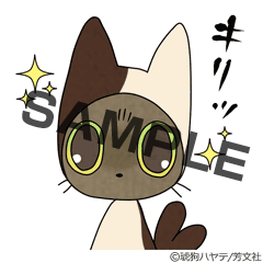 ねこまた。 キリッ