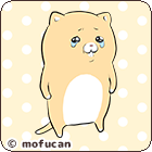 泣きむし猫のキィちゃん