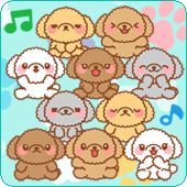 たっぷりプードル