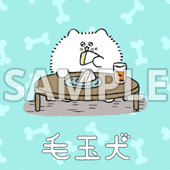 毛玉犬　壁紙1